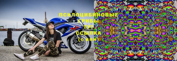 PSILOCYBIN Алексеевка