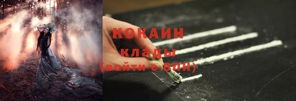 PSILOCYBIN Алексеевка