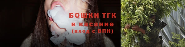 ПСИЛОЦИБИНОВЫЕ ГРИБЫ Алексин