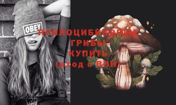 a pvp Алзамай