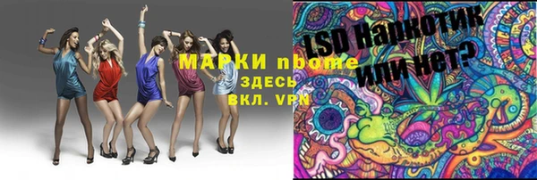 ПСИЛОЦИБИНОВЫЕ ГРИБЫ Алексин