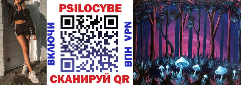 Галлюциногенные грибы Psilocybine cubensis Киреевск