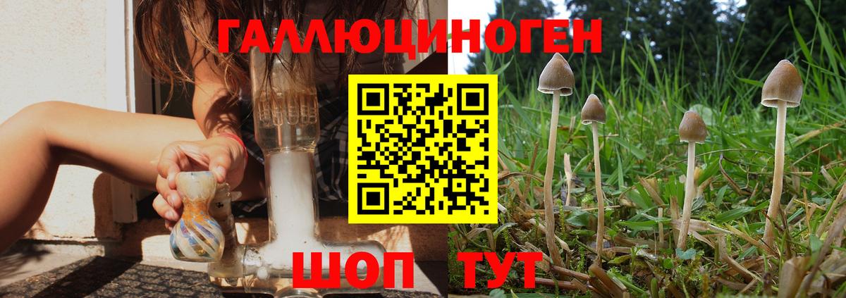 Киреевск  Псилоцибиновые грибы MAGIC MUSHROOMS  Вход с VPN 